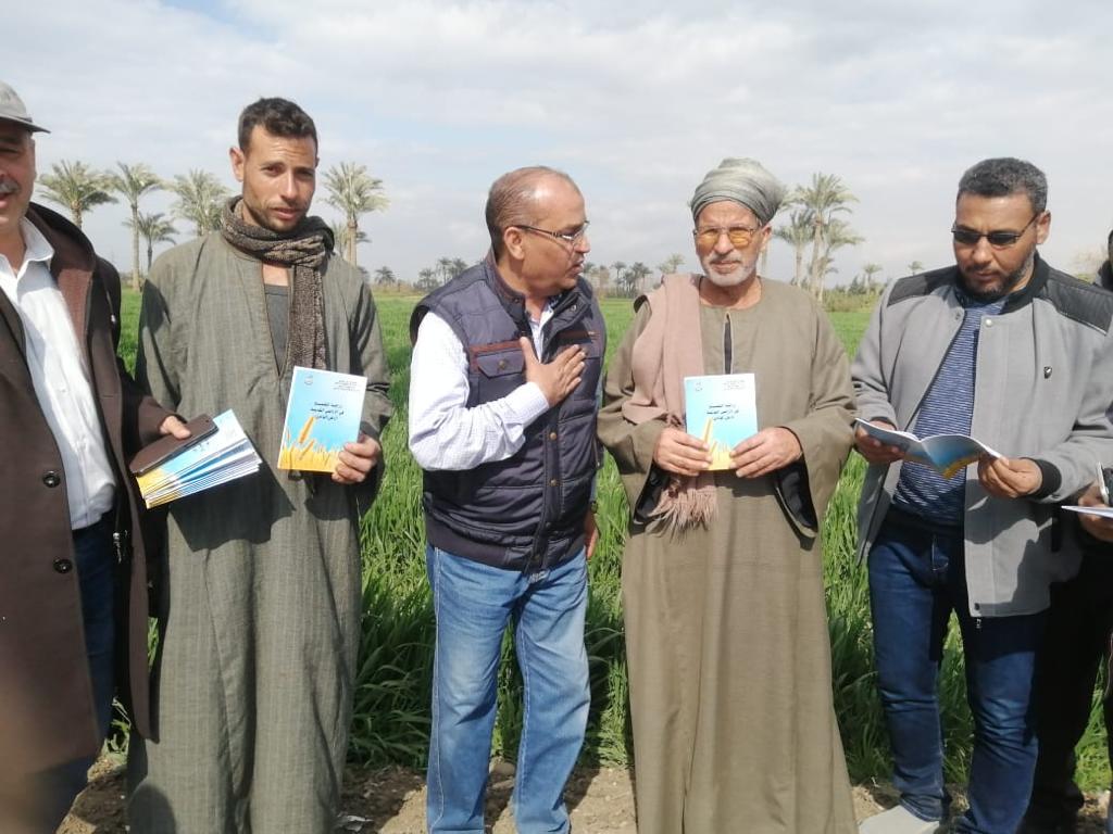 الزراعة تواصل متابعة الحقول الإرشادية للمحاصيل الشتوية والقمح في محافظة بني سويف